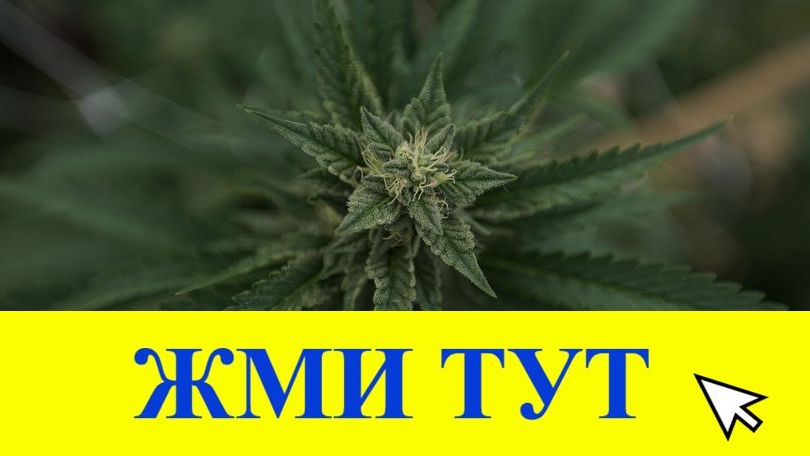 Купить наркотики в Магнитогорске